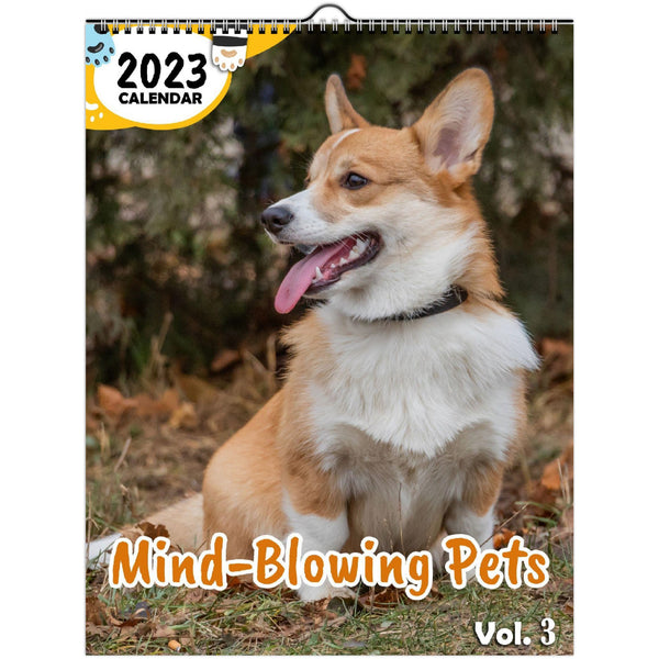 Mind-Blowing Pets Volume Three: 2023 Wall Calendar