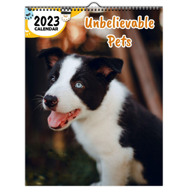 Unbelievable Pets: 2023 Wall Calendar