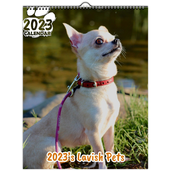 2023's Lavish Pets: 2023 Wall Calendar