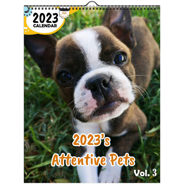 2023's Attentive Pets Volume Three: 2023 Wall Calendar