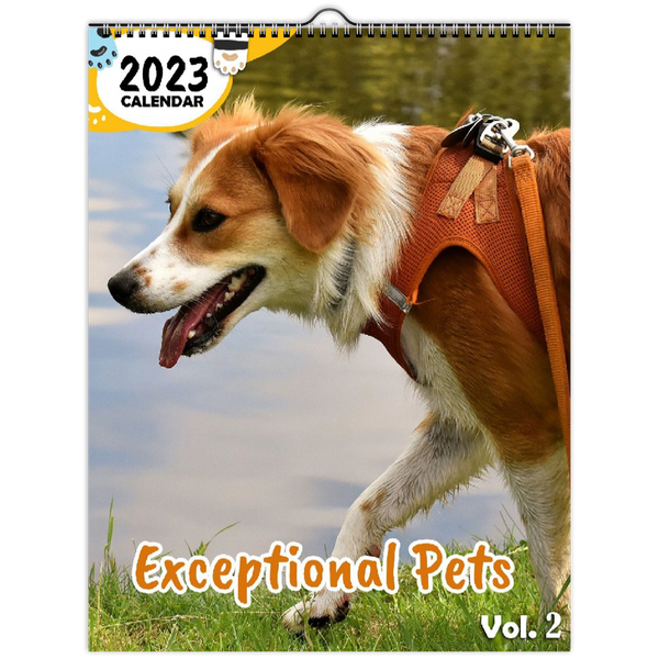 Exceptional Pets Volume Two: 2023 Wall Calendar