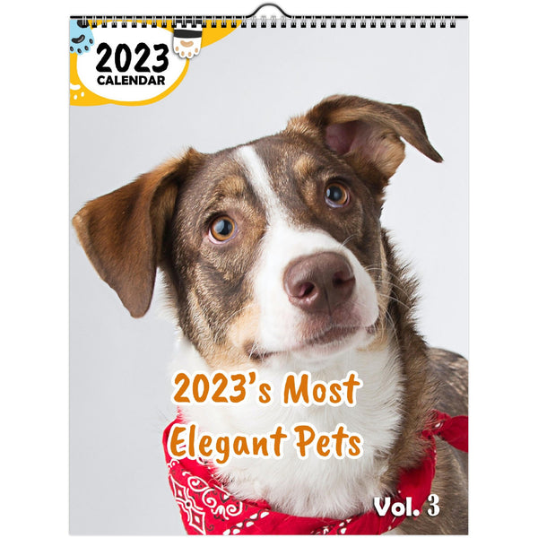 2023's Most Elegant Pets Volume Three: 2023 Wall Calendar