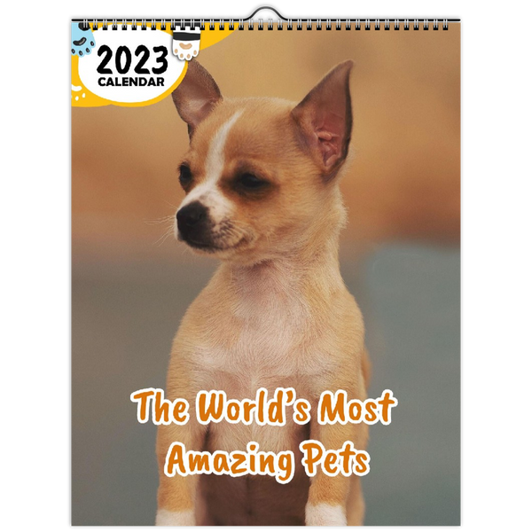The World's Most Amazing Pets: 2023 Wall Calendar