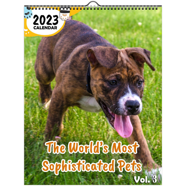 The World's Most Sophisticated Pets Volume Three: 2023 Wall Calendar