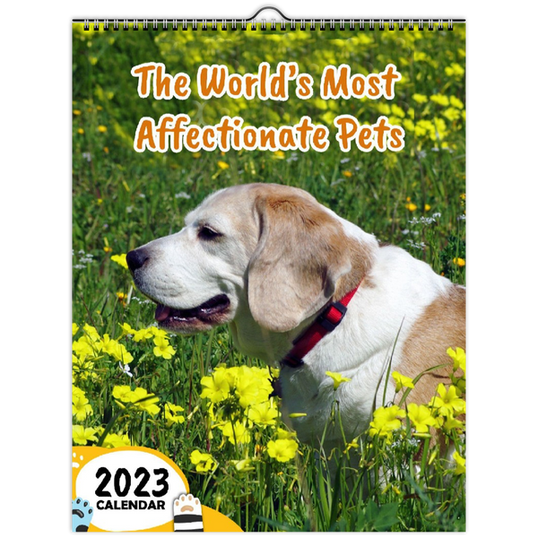 The World's Most Affectionate Pets: 2023 Wall Calendar