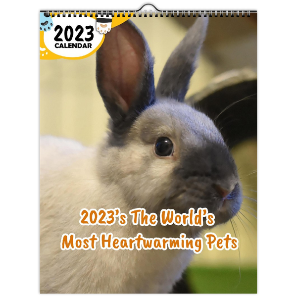 2023's The World's Most Heartwarming Pets: 2023 Wall Calendar