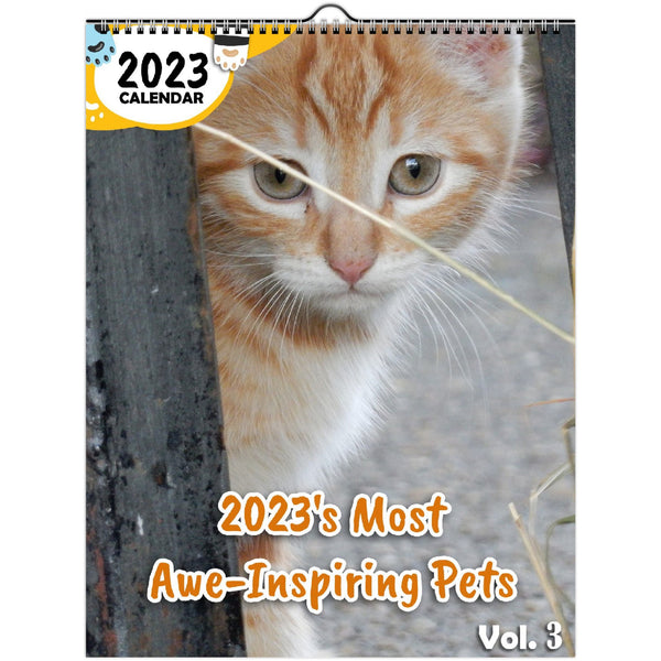 2023's Most Awe-Inspiring Pets Volume Three: 2023 Wall Calendar