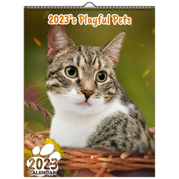 2023's Playful Pets: 2023 Wall Calendar