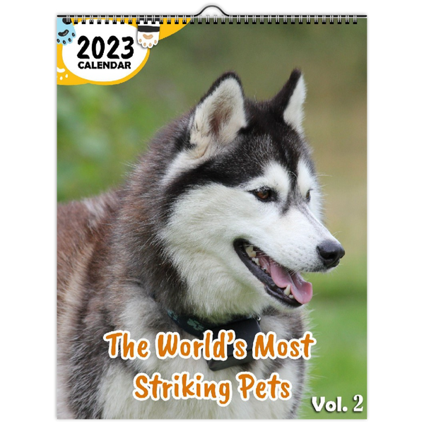 The World's Most Striking Pets Volume Two: 2023 Wall Calendar
