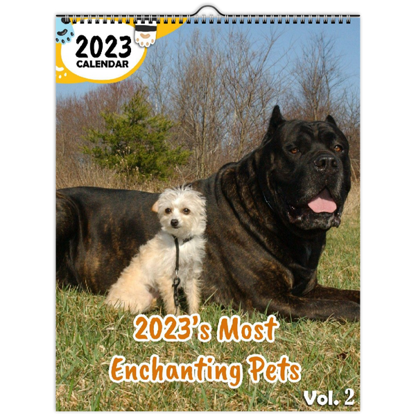 2023's Most Enchanting Pets Volume Two: 2023 Wall Calendar