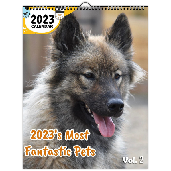2023's Most Fantastic Pets Volume Two: 2023 Wall Calendar
