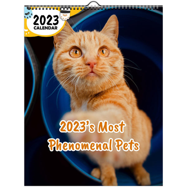 2023's Most Phenomenal Pets: 2023 Wall Calendar