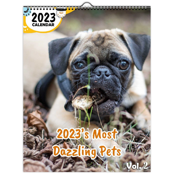 2023's Most Dazzling Pets Volume Two: 2023 Wall Calendar