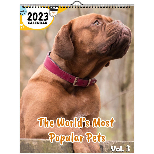 The World's Most Popular Pets Volume Three: 2023 Wall Calendar