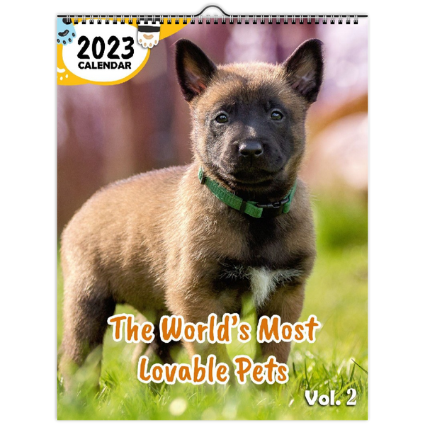 The World's Most Lovable Pets Volume Two: 2023 Wall Calendar