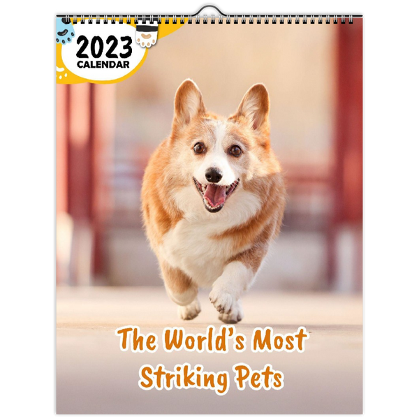 The World's Most Striking Pets: 2023 Wall Calendar