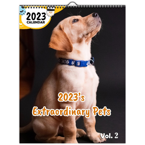 2023's Extraordinary Pets Volume Two: 2023 Wall Calendar