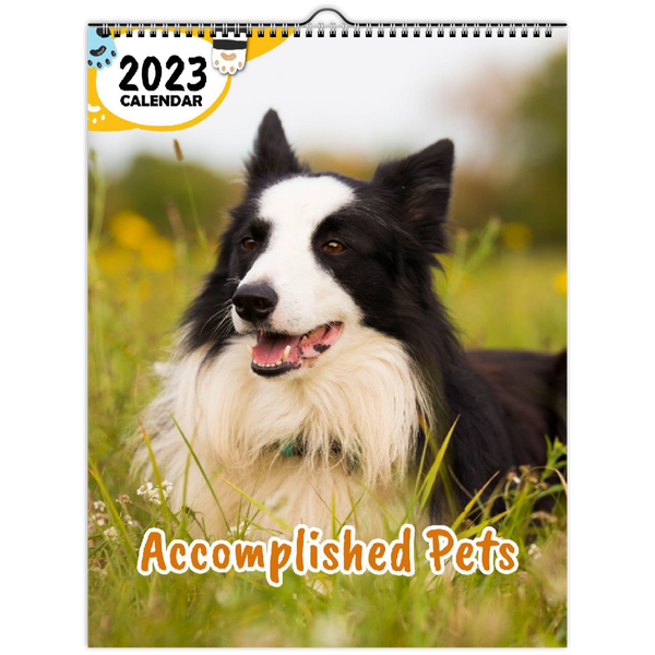 Accomplished Pets: 2023 Wall Calendar