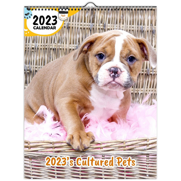 2023's Cultured Pets: 2023 Wall Calendar