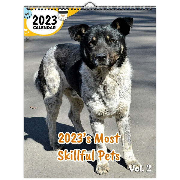 2023's Most Skillful Pets Volume Two: 2023 Wall Calendar
