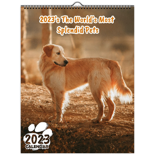 2023's The World's Most Splendid Pets: 2023 Wall Calendar
