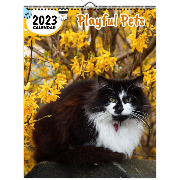 Playful Pets: 2023 Wall Calendar