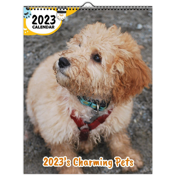 2023's Charming Pets: 2023 Wall Calendar