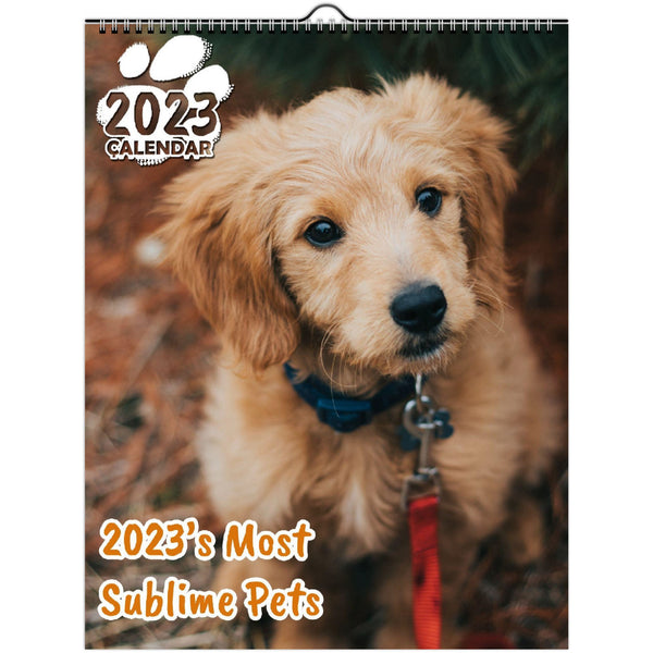 2023's Most Sublime Pets: 2023 Wall Calendar