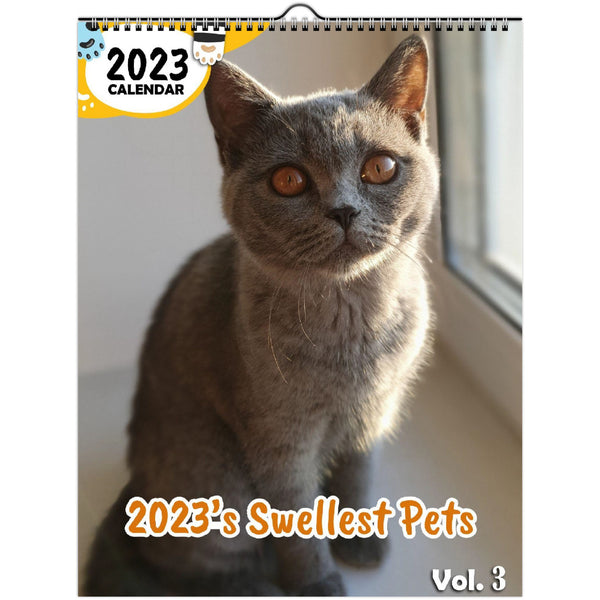 2023's Swellest Pets Volume Three: 2023 Wall Calendar
