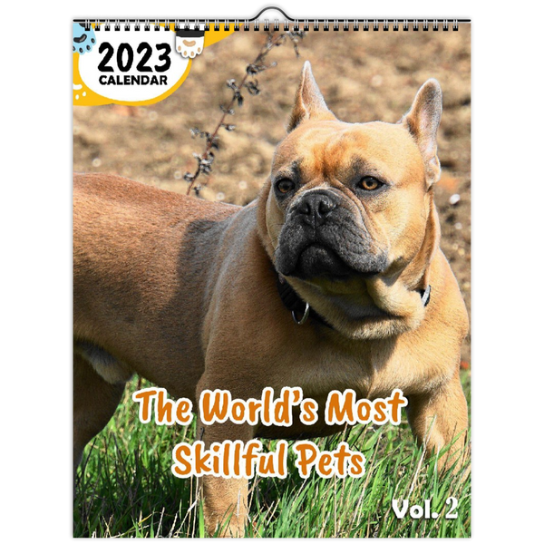 The World's Most Skillful Pets Volume Two: 2023 Wall Calendar