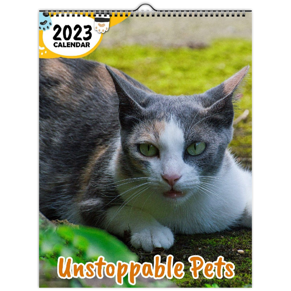 Unstoppable Pets: 2023 Wall Calendar