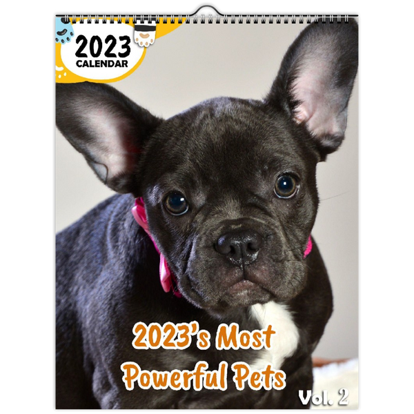 2023's Most Powerful Pets Volume Two: 2023 Wall Calendar