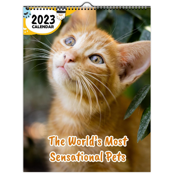 The World's Most Sensational Pets: 2023 Wall Calendar
