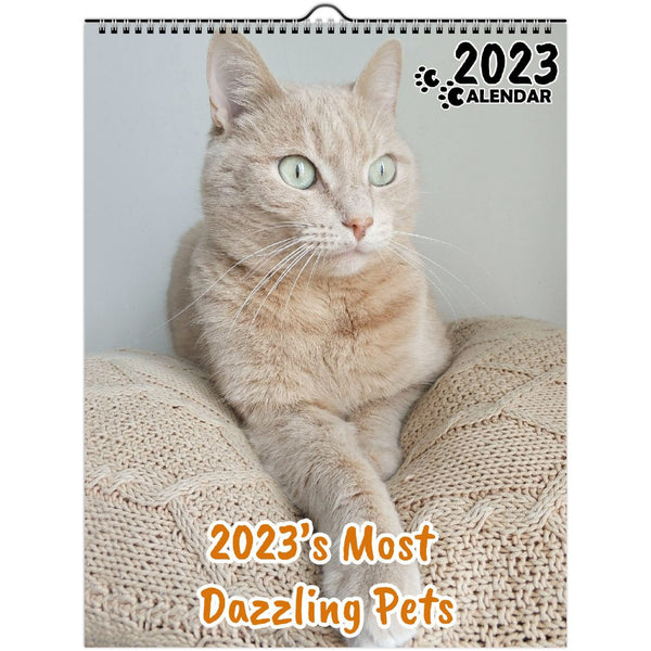 2023's Most Dazzling Pets: 2023 Wall Calendar