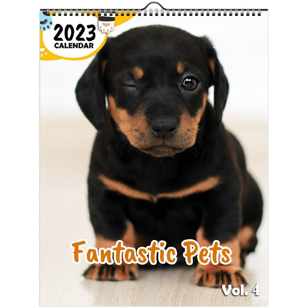 Fantastic Pets Volume Four: 2023 Wall Calendar