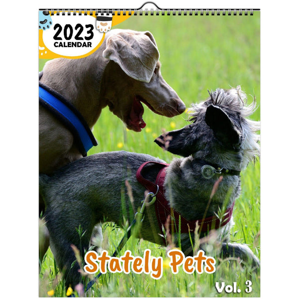 Stately Pets Volume Three: 2023 Wall Calendar