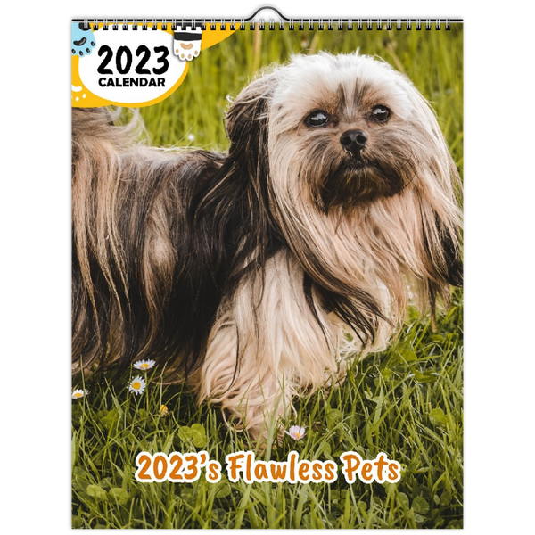 2023's Flawless Pets: 2023 Wall Calendar