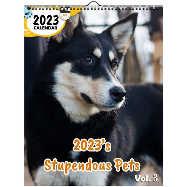 2023's Stupendous Pets Volume Three: 2023 Wall Calendar