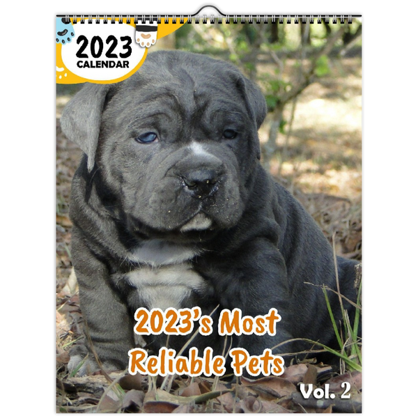 2023's Most Reliable Pets Volume Two: 2023 Wall Calendar