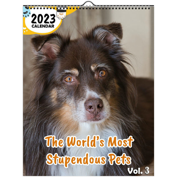 The World's Most Stupendous Pets Volume Three: 2023 Wall Calendar
