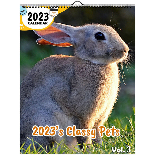 2023's Classy Pets Volume Three: 2023 Wall Calendar