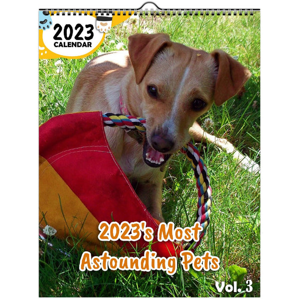 2023's Most Astounding Pets Volume Three: 2023 Wall Calendar