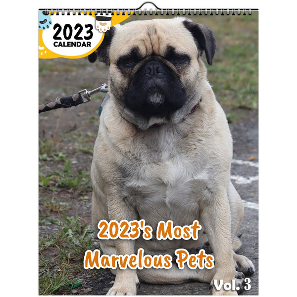 2023's Most Marvelous Pets Volume Three: 2023 Wall Calendar
