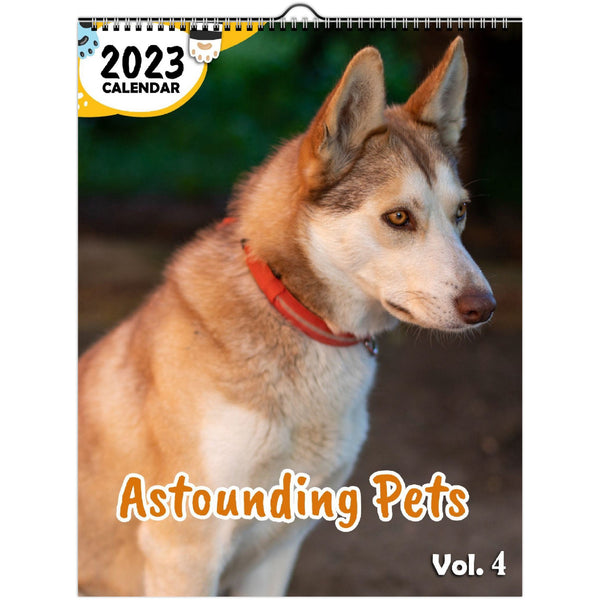 Astounding Pets Volume Four: 2023 Wall Calendar