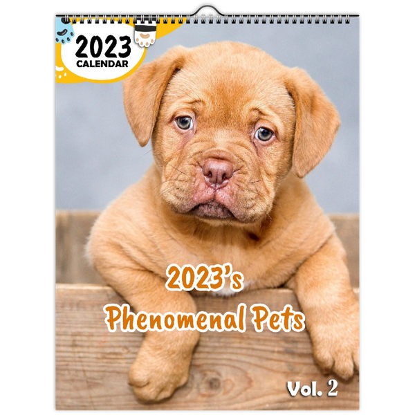 2023's Phenomenal Pets Volume Two: 2023 Wall Calendar