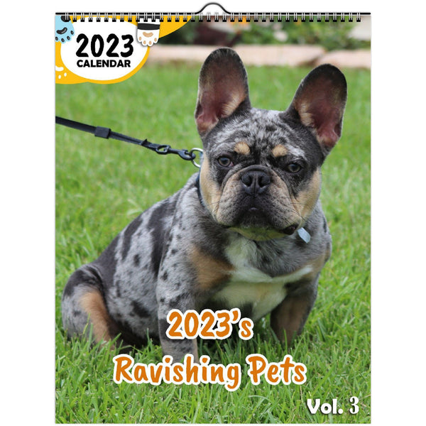 2023's Ravishing Pets Volume Three: 2023 Wall Calendar
