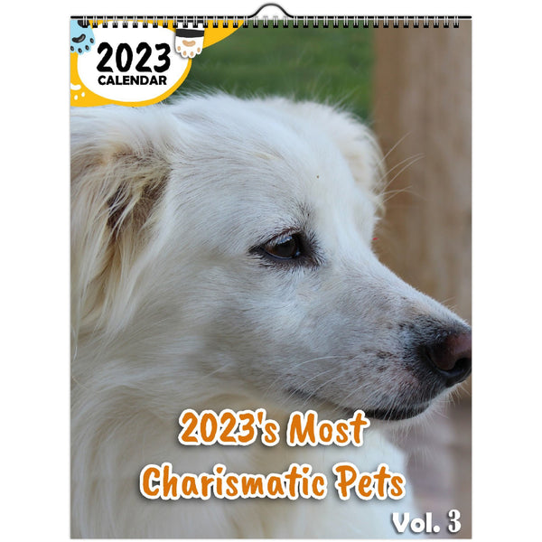 2023's Most Charismatic Pets Volume Three: 2023 Wall Calendar