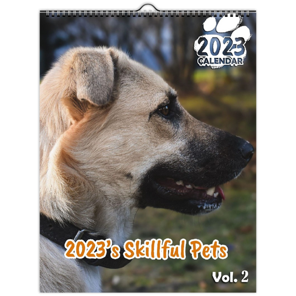 2023's Skillful Pets Volume Two: 2023 Wall Calendar