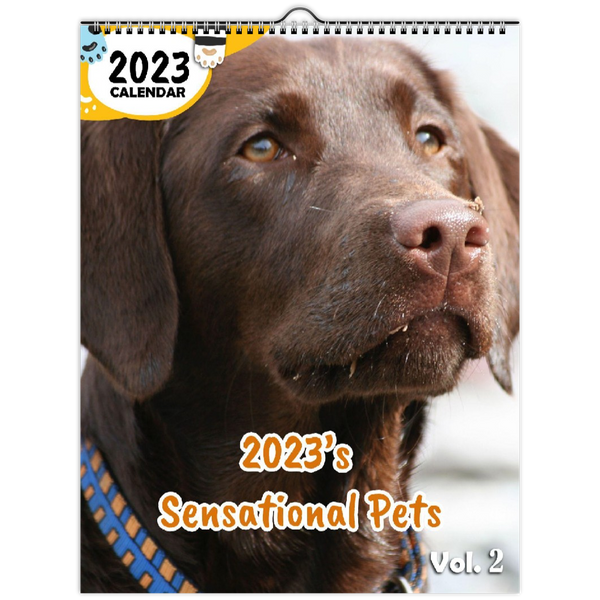 2023's Sensational Pets Volume Two: 2023 Wall Calendar