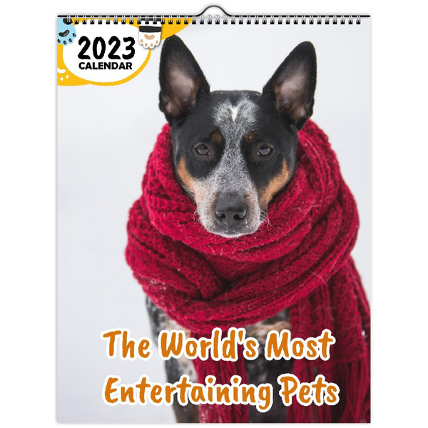 The World's Most Entertaining Pets: 2023 Wall Calendar